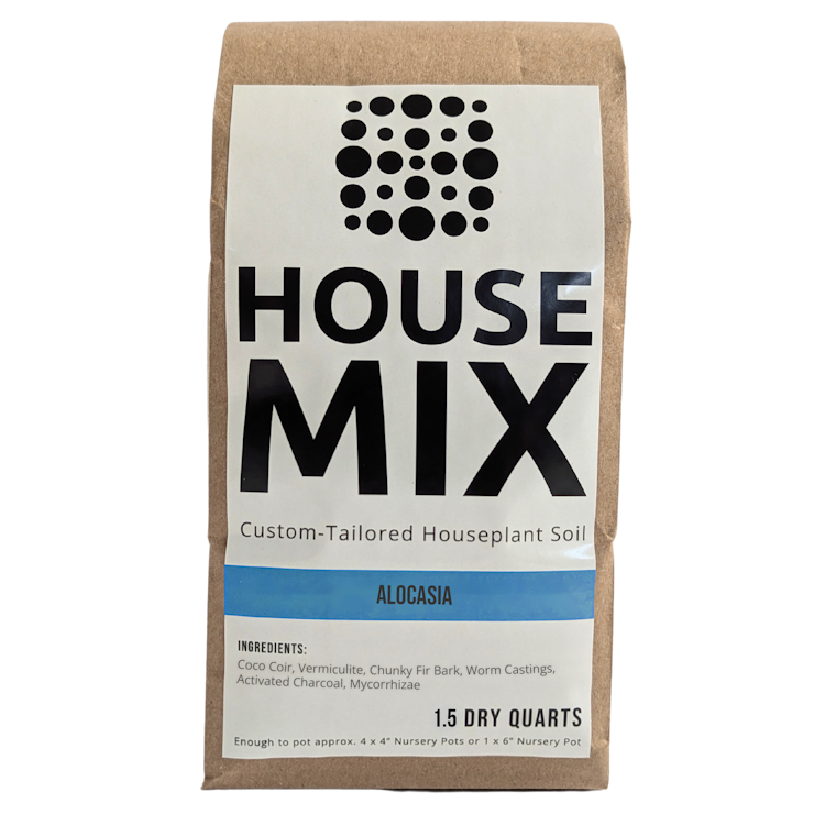 House Mix Alocasia Potting Mix