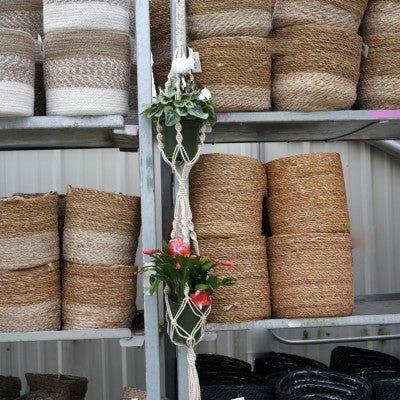 Cascade Macrame Plant Hangers